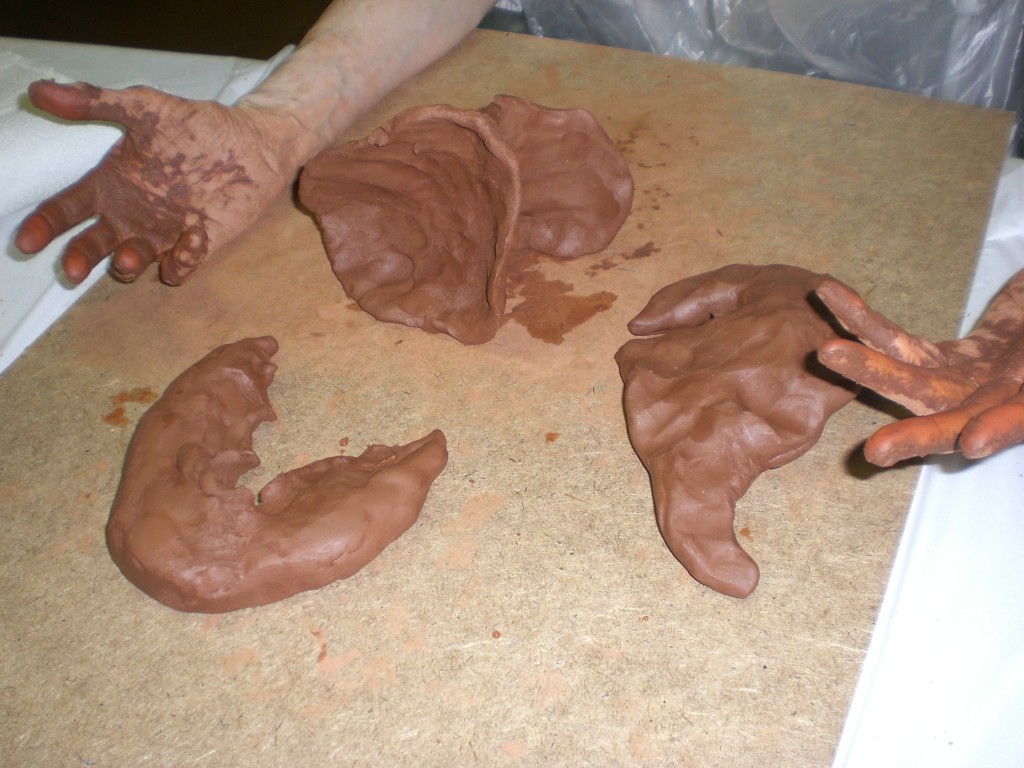 Gallery - Clia CoachingClia Coaching